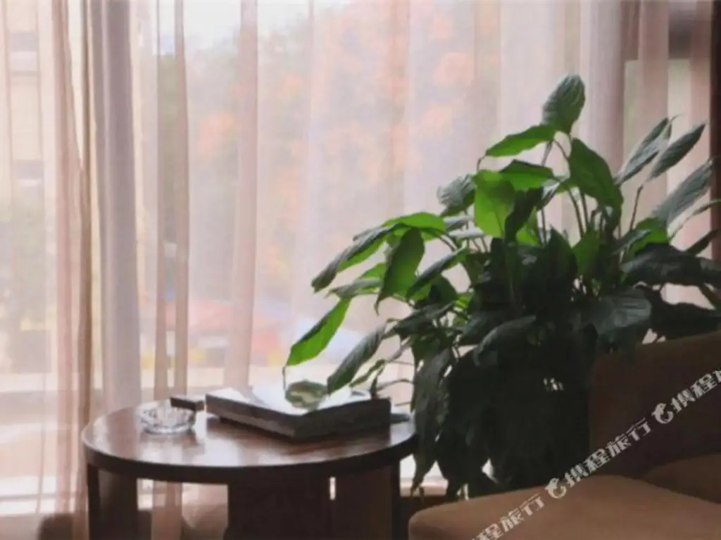 Мяньян: Kaimeiju Four Seasons Scenic Hotel (Mianyang High-Speed Railway Station)