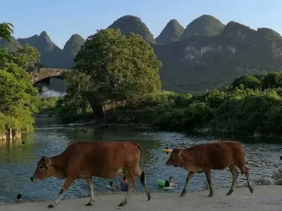 Яншо: yangshuo loong old house
