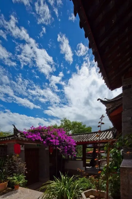 Лицзян: Lijiang Ivy Garden Cloud Mountain Hotel