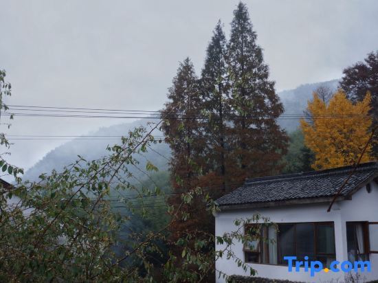 Хучжоу: Moganshan Jiangwan No. 8 Bed & Breakfast