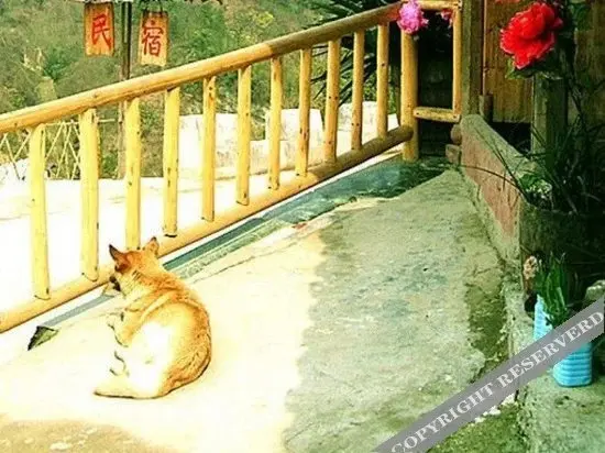 Чжанцзяцзе: Xiaoyin Nongjiale