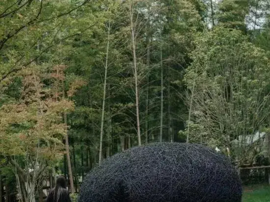 Хучжоу: Nature Valley
