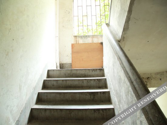 Шэньчжэнь: Wenxin Youth Hostel