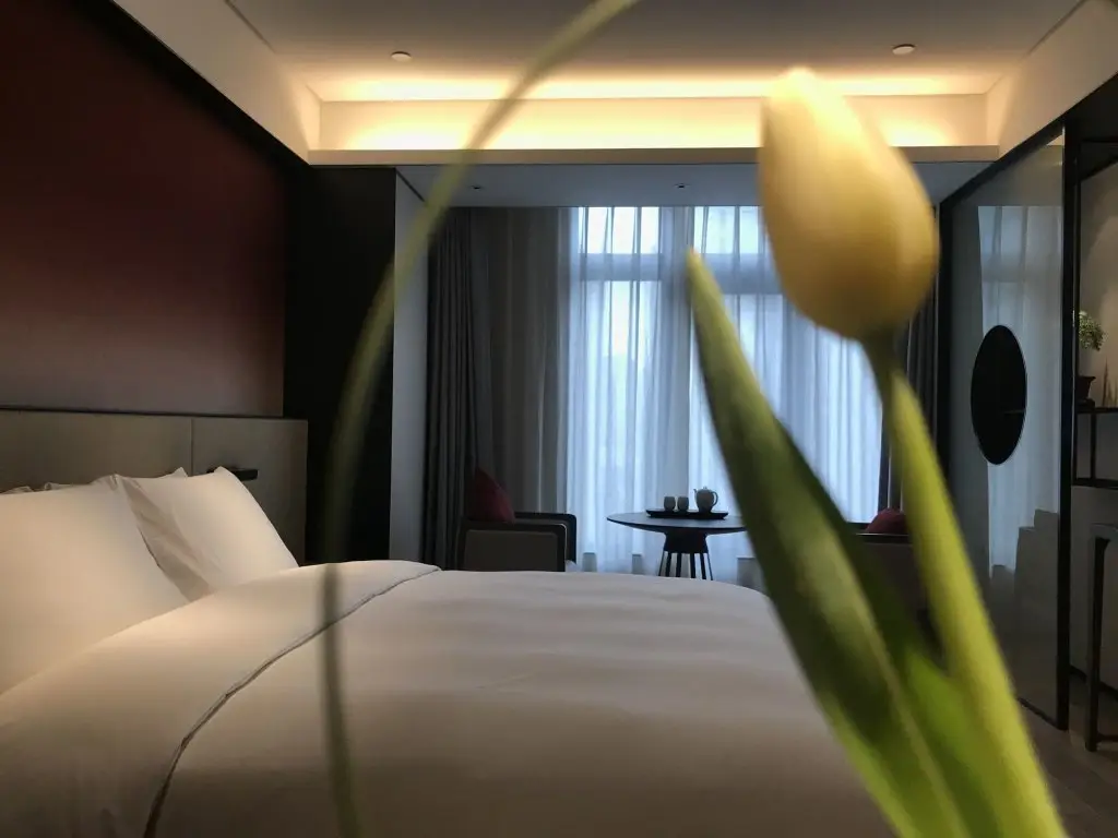 Шанхай: Joya Shanghai Xujiahui Hotel