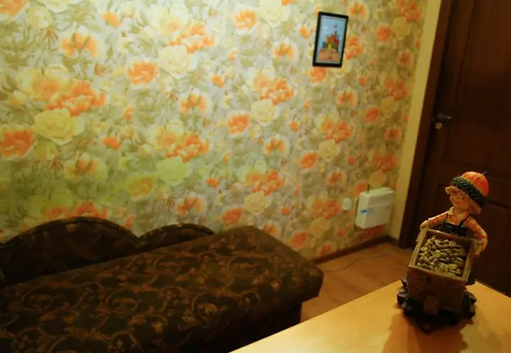 Москва: Hostel Alekseevo 1