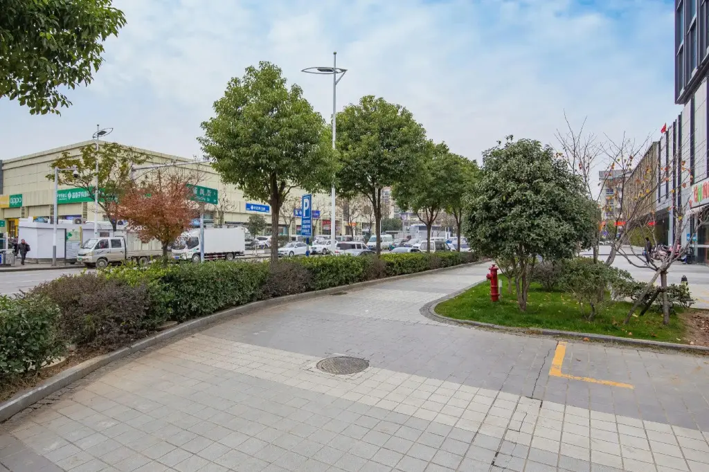 Нанкин: Metropolo Nanjing Jiangning South East University