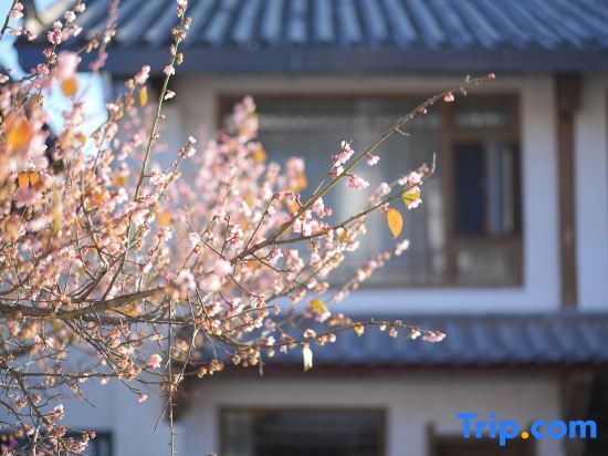Lijiang Zifayu Designer Boutique Inn — фото 1