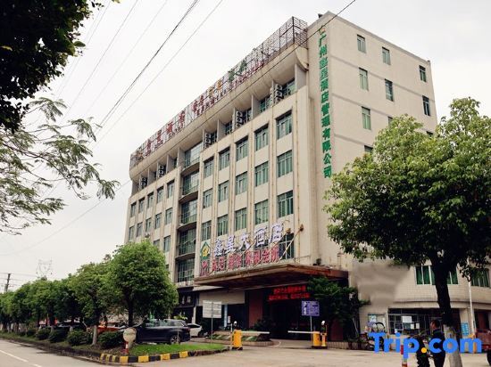 Гуанчжоу: Guangzhou Xinxing Hotel