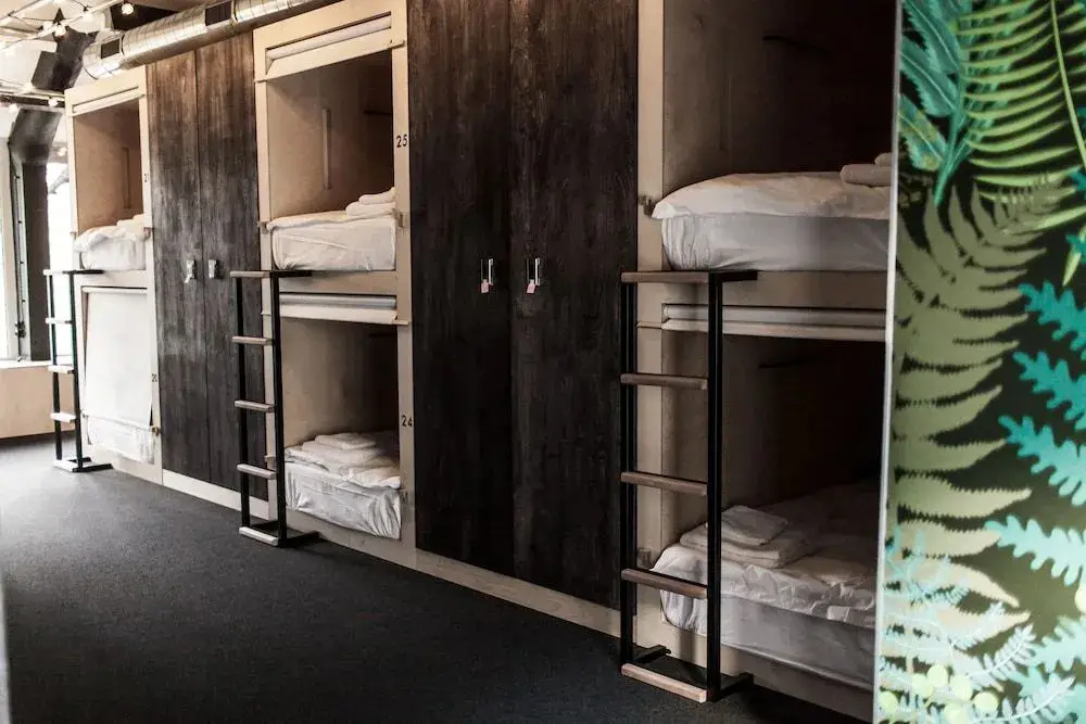 Москва: Botanist Hostel