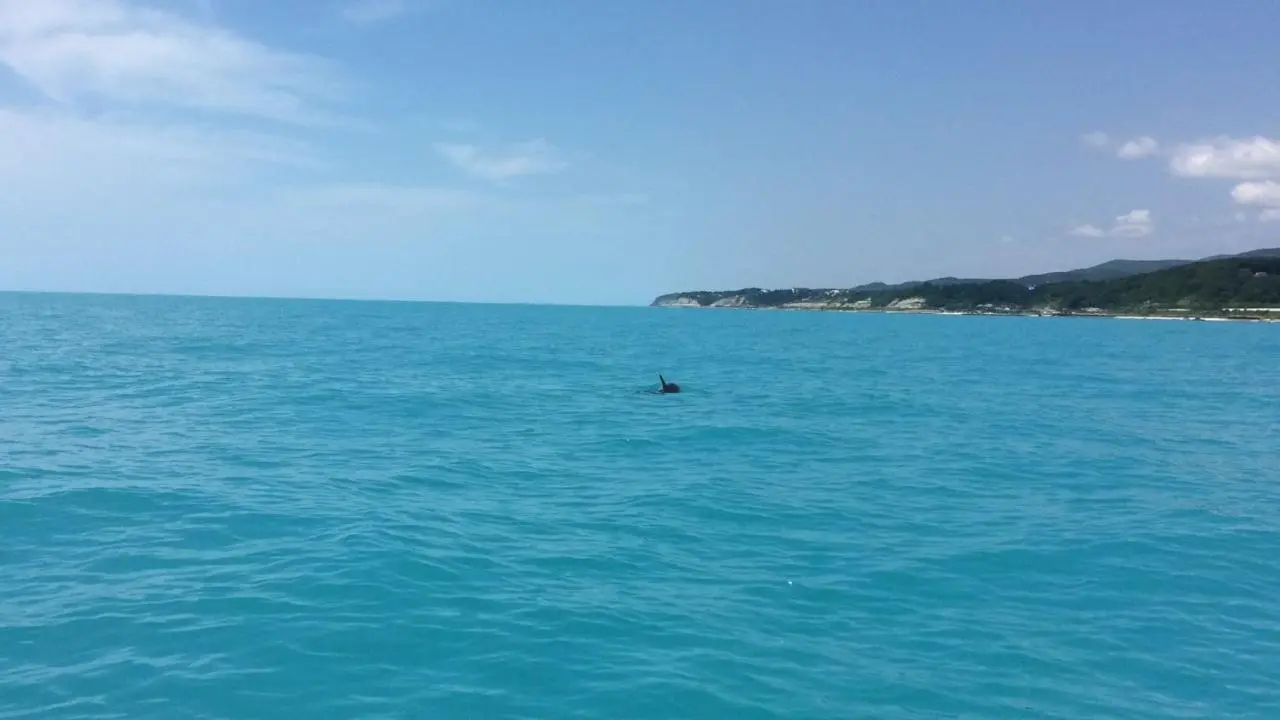 Сочи: На Черном Море