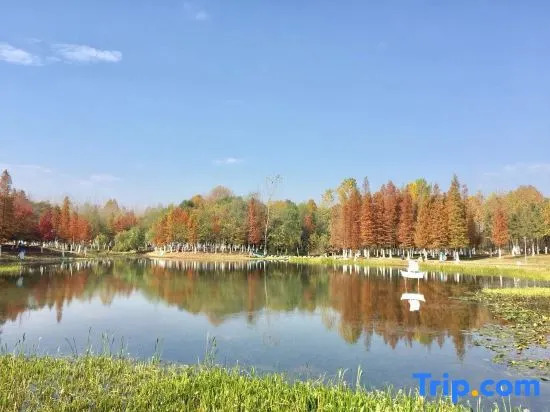 Хэфэй: Ruijing Youxuan Hotel (Hefei Linhu Community)