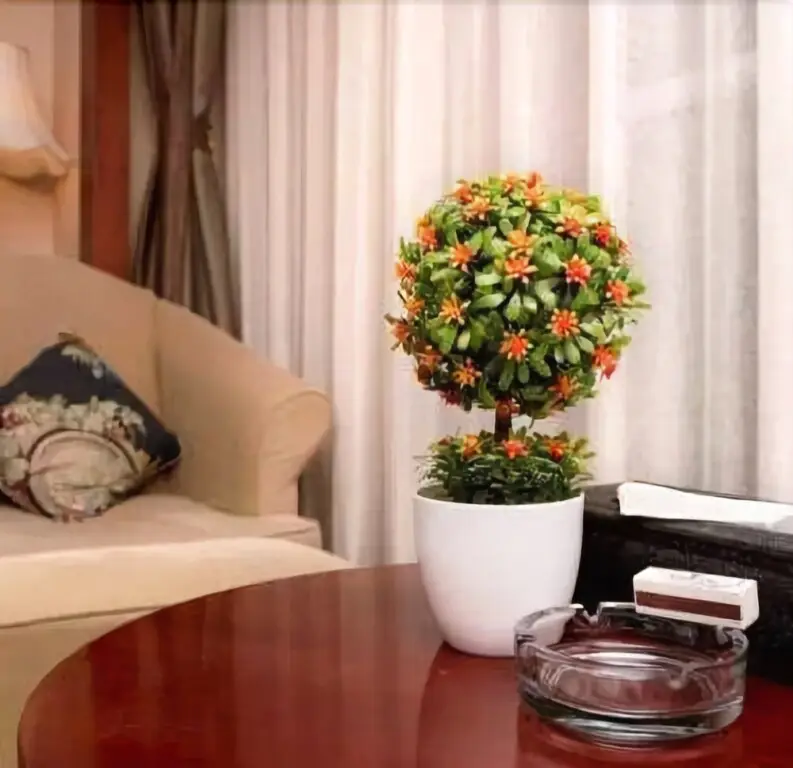 Хух-Хото: Hai Jing International Hotel