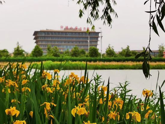 Цзинань: Shungeng Manor Ecological Park