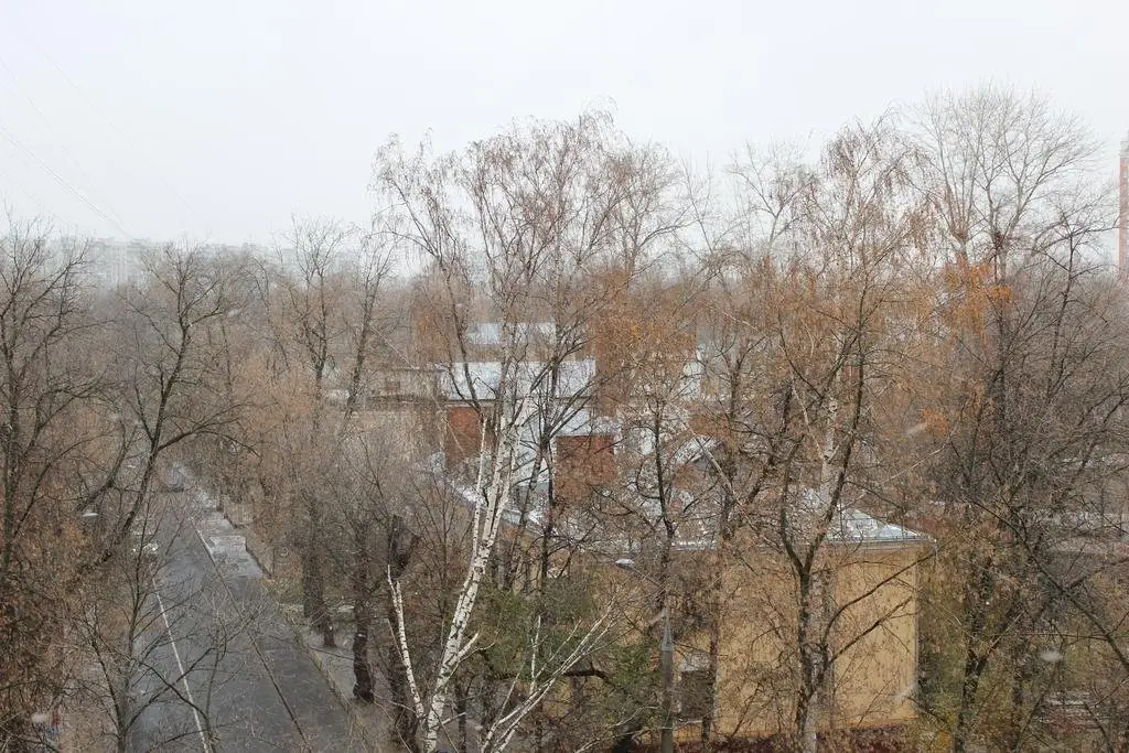 Москва: Stylish Apartment Sviblovo