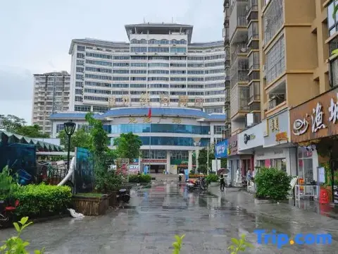 Vienna Classic Hotel (Zhangzhou Longchi Center) — фото 1