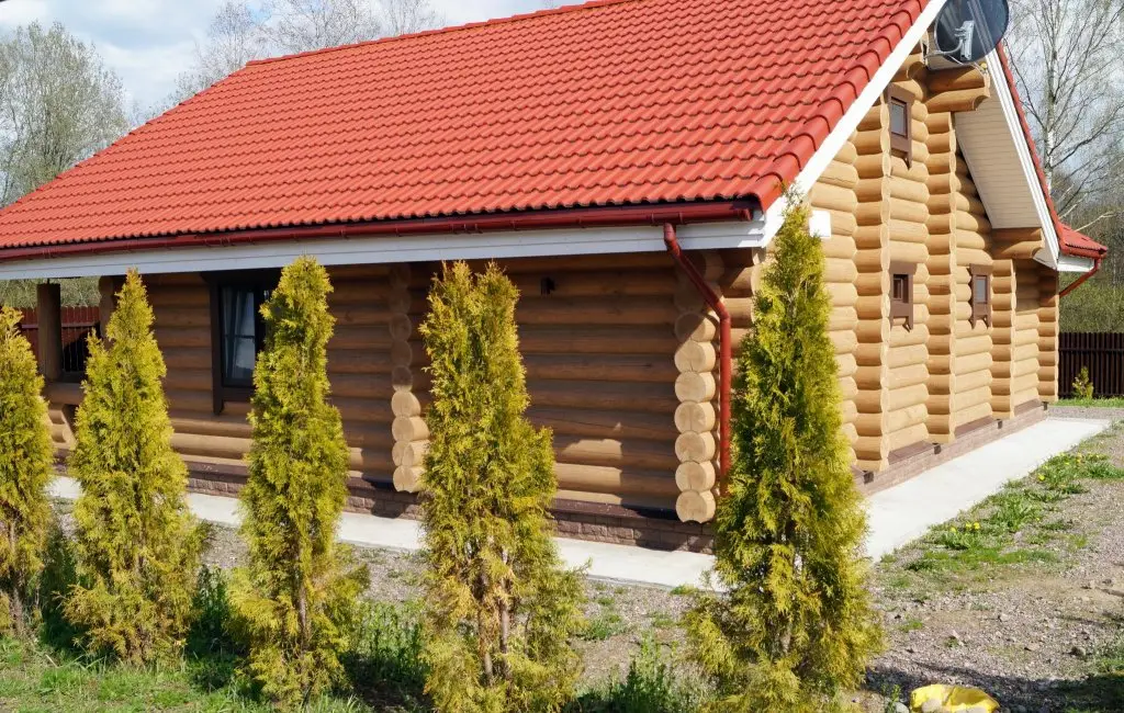 Коробицыно: Snhaus (Снхаус)