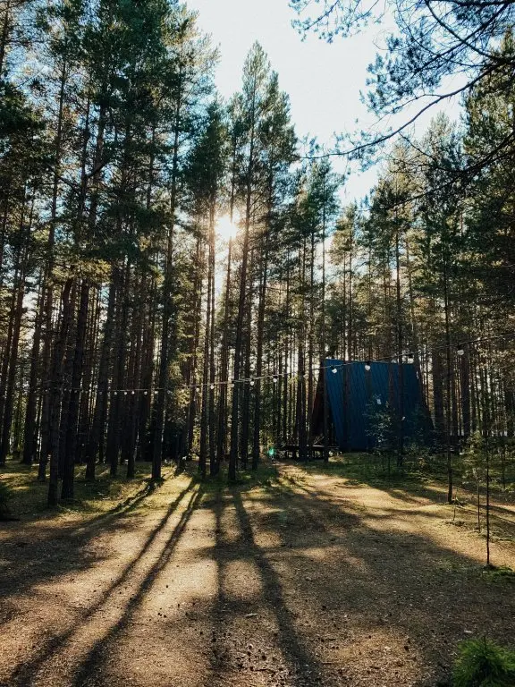 Лосево: База отдыха The Lagom