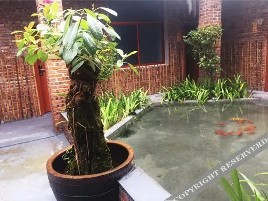 Чэньчжоу: Qichi Zhuxiang Hostel
