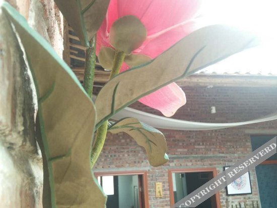 Чэньчжоу: Qichi Zhuxiang Hostel