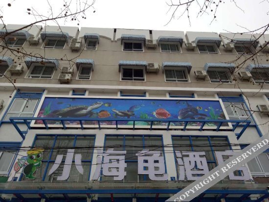 小海龟酒店(郑州文化路店) — фото 1