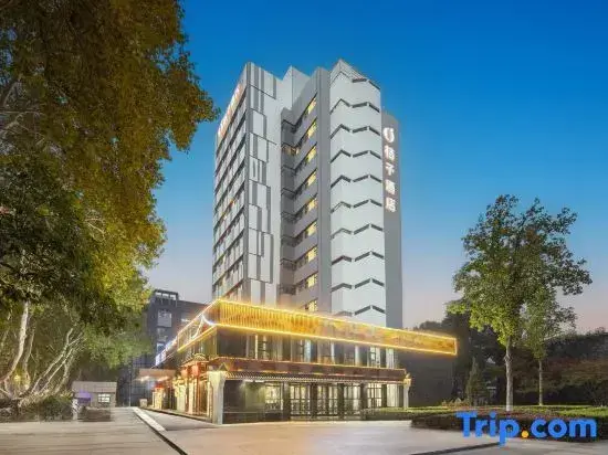 Нанкин: Orange Hotel ((Nanjing Museum Ming Palace Subway Station Hotel)