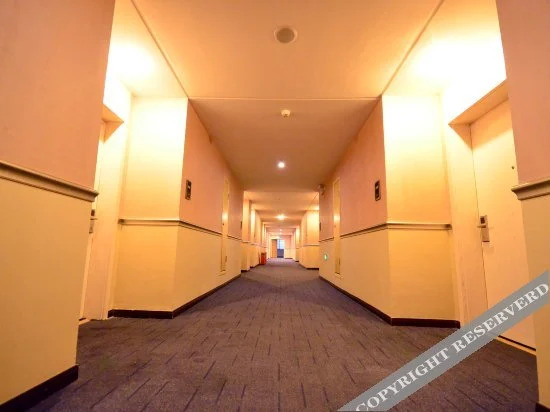 Сяогань: Xinjinshi Fashion Hotel
