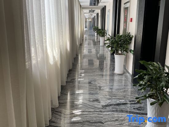 Ханьчжун: Gulong Hotel (Hanzhong High-speed Railway Station Wanbang)