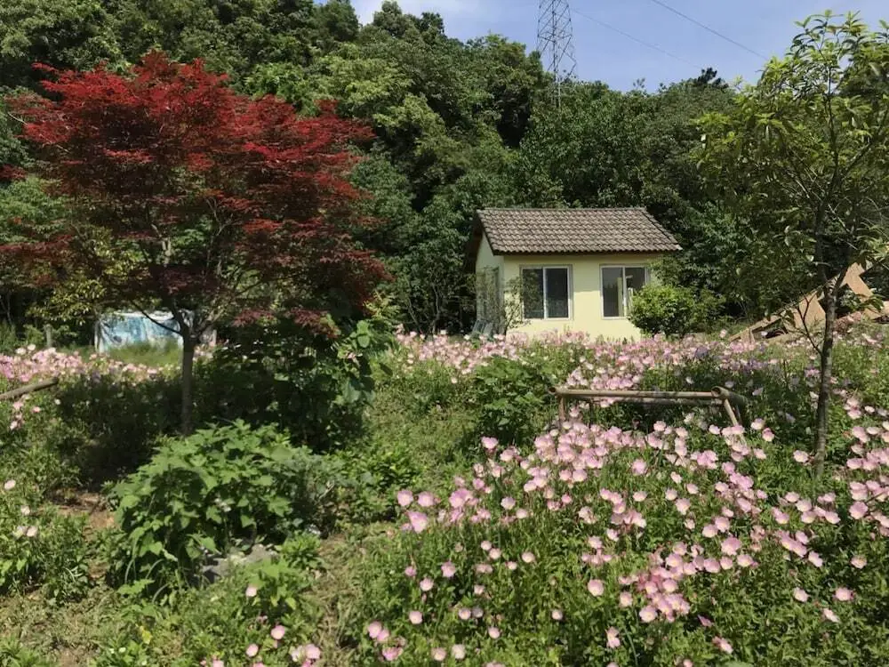 Ханчжоу: Hangzhou Tongjia country Resort