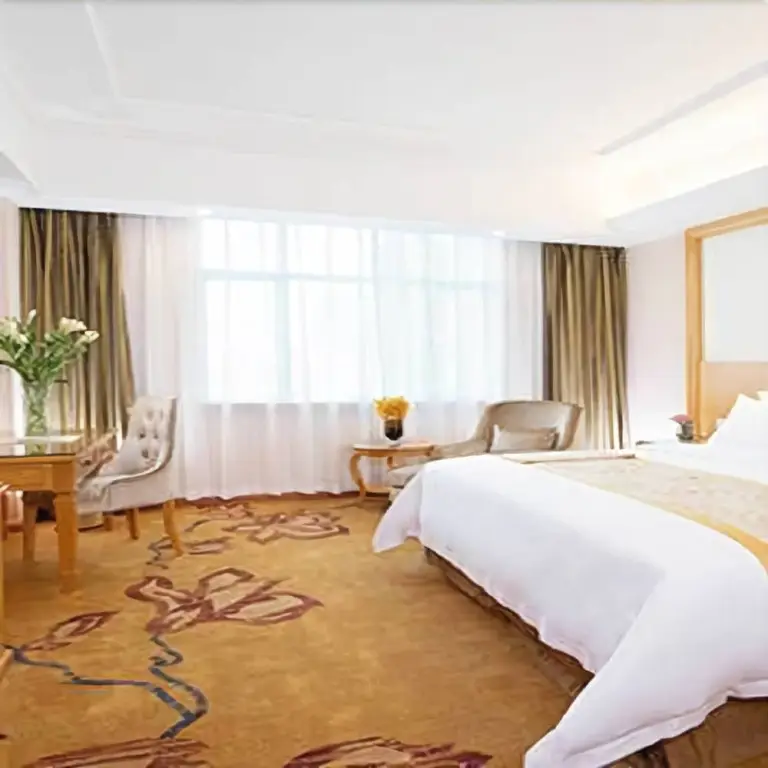 Фошань: Vienna Hotel