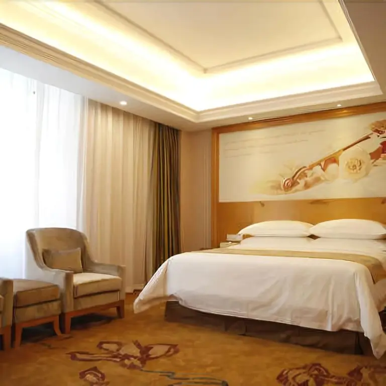 Фошань: Vienna Hotel
