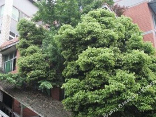 Чунцин: Jinquan Hostel