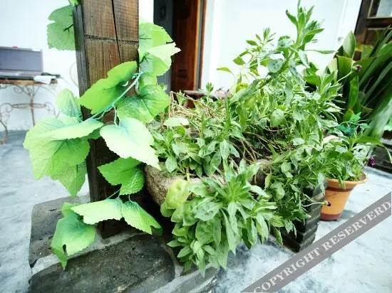 Цзясинь: Xitang Yijia Boutique Holiday Clubhouse