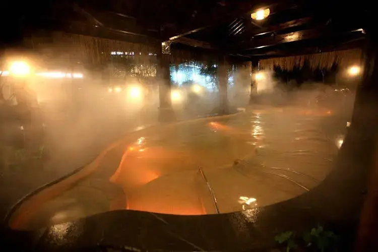 Narada Hot Spring Resort Huzhou — фото 1