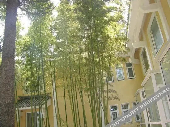 Чжэнчжоу: Zen Hotel