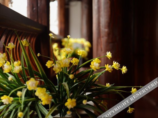 Лицзян: Saturday Inn
