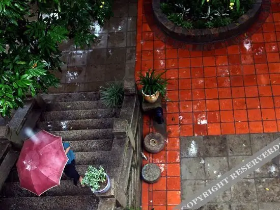 Tangtao Yard Hostel (Xiamen Gulangyu Fuxing Castle) — фото 1