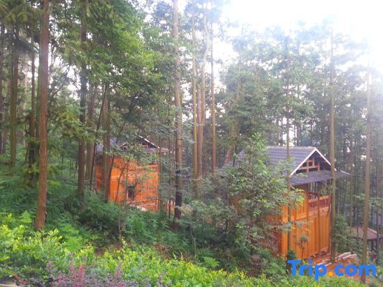Гуйян: Longrun Forest Hotel