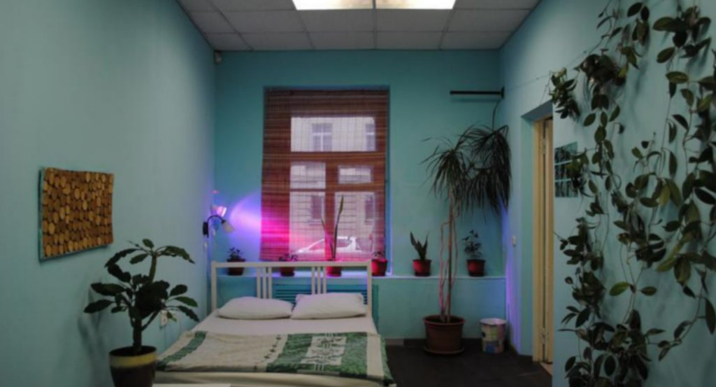 Санкт-Петербург: Botanic Hostel