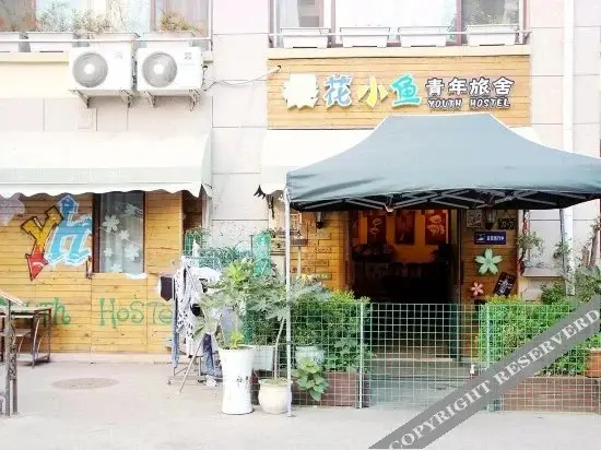 Циндао: Yinghua Xiaoyu Hostel