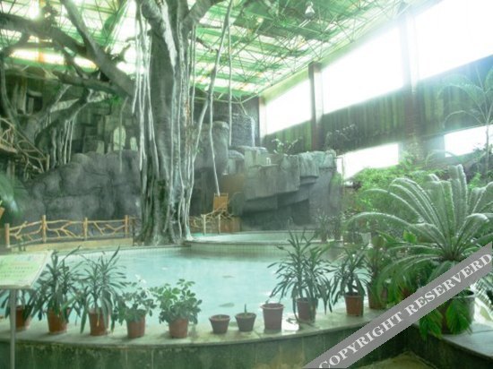 Цзаочжуан: Yingtai Eco-Spa Resort