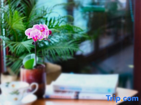 Шэньчжэнь: Shenzhen Jiaochangwei Yishe Boutique Hotel