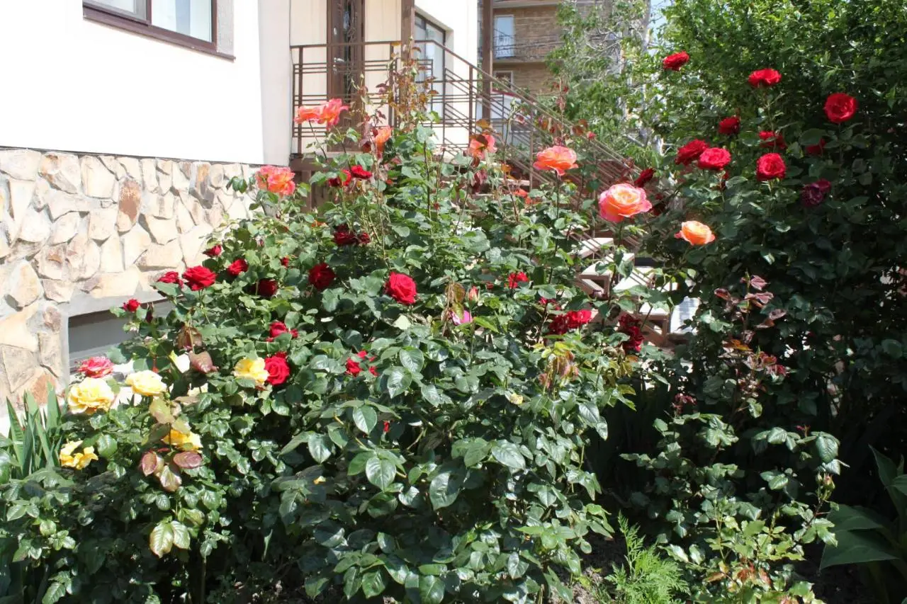 Геленджик: Guest House Zolotaya Gavan