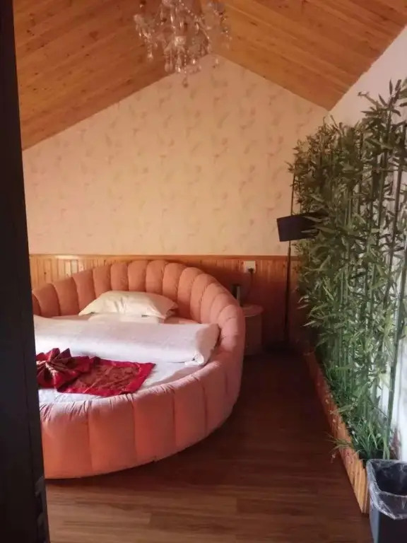 Цзясинь: Wuzhen Grandmother Guest House