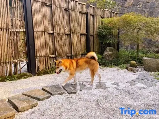 Ханчжоу: Moganshan·Original Jie Mountain Viewing Sea of Clouds B&B