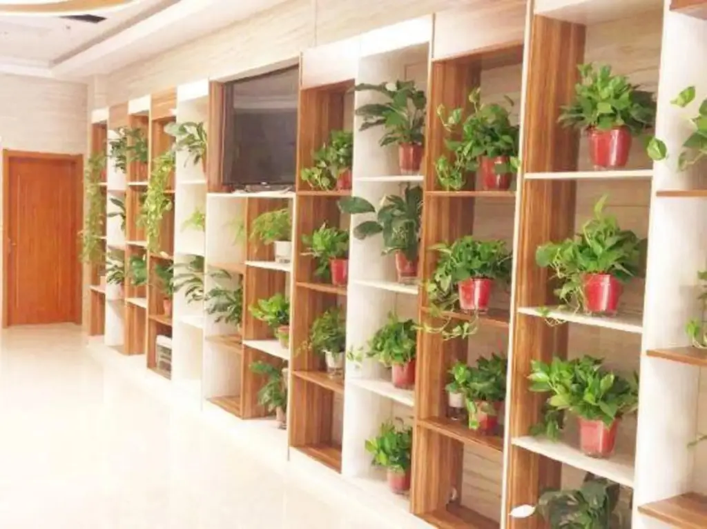 Чжэнчжоу: Xinyue Lishui Holiday Hotel