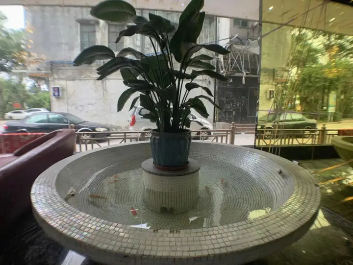Дунгуань: Baolong Hotel Dongguan (Houjie Shanmei Subway Station Branch)