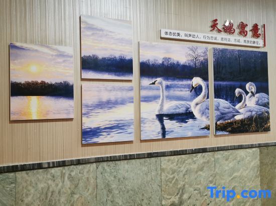 Чжэнчжоу: Swan Theme Culture Hotel (Zhengzhou Railway Station East Plaza Branch)