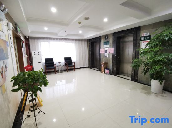 Чжэнчжоу: Swan Theme Culture Hotel (Zhengzhou Railway Station East Plaza Branch)