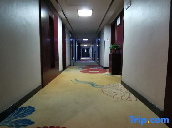 Чжэнчжоу: Swan Theme Culture Hotel (Zhengzhou Railway Station East Plaza Branch)
