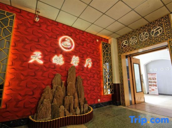 Чжэнчжоу: Swan Theme Culture Hotel (Zhengzhou Railway Station East Plaza Branch)